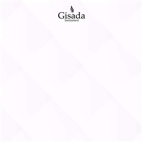 gisada ambassador sample.